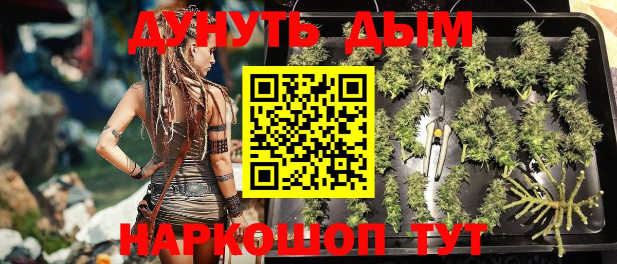 Салехард  Бошки марихуана тримм  МАРИХУАНА марихуана  Вход с VPN  Марихуана сатива 